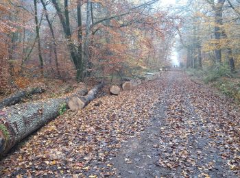 Randonnée Course à pied Allogny - allogny - Photo