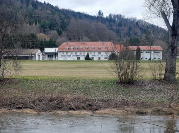 Tocht Te voet Rottenburg am Neckar - Liebfrauenhöhe-Oberndorf - Photo