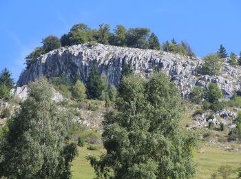 Percorso A piedi  - Cabana Gura Râului-sub Măgura Mare-Bran - Photo