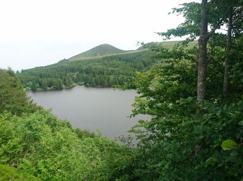 Percorso Marcia Orcival - lac de Guerry - puy gros - banne d'ordanche- retour lac  - Photo