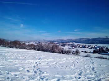 Percorso Racchette da neve Arc-sous-Cicon - ARC SOUS CICON 