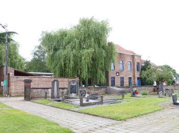 Randonnée A pied Bierbeek - Koebos Oranje bol - Photo