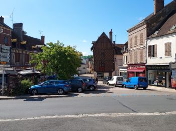 Percorso Bici da strada Saint-Julien-du-Sault - EXT105 St. Julien du Sault-01 - Photo