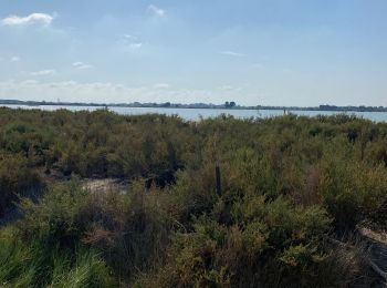 Tocht Elektrische fiets Aigues-Mortes - Aigues-Mortes  - Photo