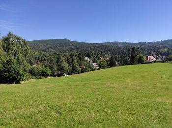 Trail Walking Le Hohwald - Le Hohwald (bis) - Photo