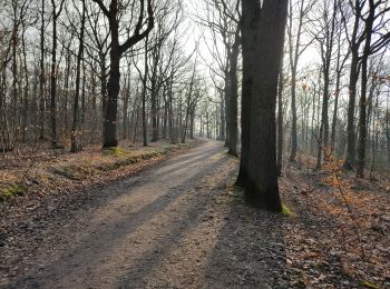 Tour Wandern Viroflay - Par les sentes de Chaville, Sèvres et Ville D'Avray - Photo