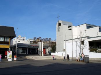 Tocht Te voet  - Würzburgs Stadtgrenze, 6. Teil - Photo