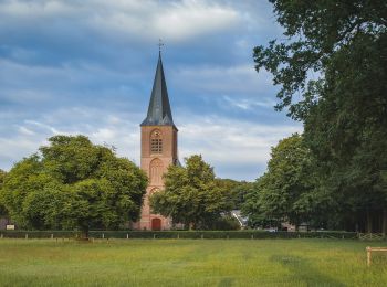 Tocht Te voet Ommen - WNW Vechtdal - Hessum/Vilsteren - groene route - Photo