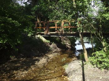 Percorso A piedi Sconosciuto - Bibergehege-Rundweg (Forsthaus-Rundweg) - Photo