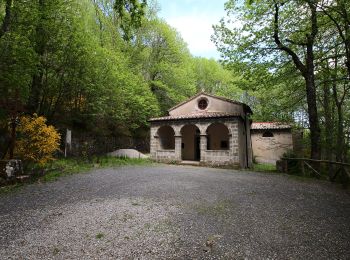 Tocht Te voet Abbadia San Salvatore - Anello dell'Amiata - Photo