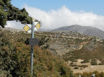 Trail On foot - Omalos-Kallergi via Koukoule - Photo