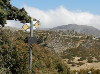 Trail On foot  - Omalos-Kallergi via Koukoule - Photo