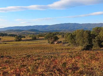 Tour Wandern La Bastidonne - La Bastidonne - Photo