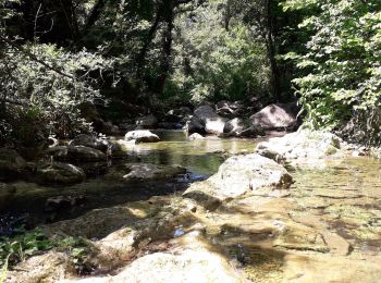 Randonnée Marche Callas - gorge de Penafore - Photo