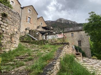 Randonnée Marche nordique La Malène - Ste Malène à Hauterive et Château de La Caze  - Photo