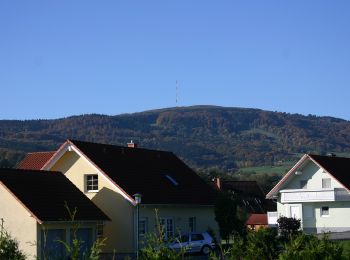 Randonnée A pied Bischofsheim i.d.Rhön - Bischofsheim Rundweg 2 (Unterweißenbrunn) - Zur Lourdesgrotte - Photo