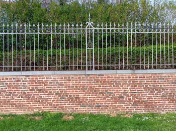 Trail Walking Waremme - Oleye - bous de Horne  - Photo