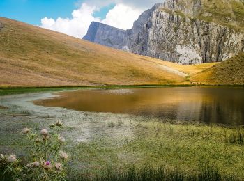 Tour Zu Fuß  - Oρειβατικό καταφύγιο Τύμφης 