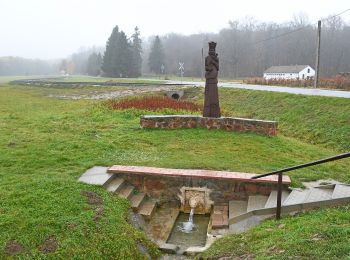 Excursión A pie Bázakerettye - K+ (Bázakerettye - Budafapuszta - Kistolmács ) - Photo