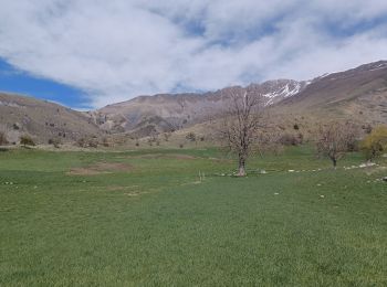 Randonnée Marche Authon - AUTHON . COL DE LA SAPIE .CRETE DU CLOT DES MARTHES . CABAN DE CHINE N - Photo