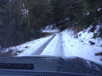 Randonnée 4x4 Saint-Étienne-lès-Remiremont - 30-01-22 route forestière  4x4 - Photo