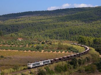 Randonnée A pied Marçà - Marçà-Capçanes-Marcà. Dos mon en un de sol - Photo