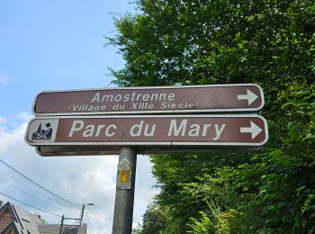 Trail Walking Esneux - 2024-07-24_09h57m26_itin-raire-1-esneux - Photo