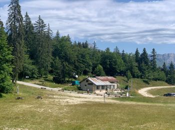 Tocht Stappen Autrans-Méaudre en Vercors - Gros Marcel - Photo