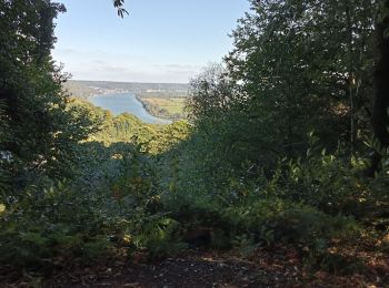 Randonnée Marche Rives-en-Seine - Villequier - Photo