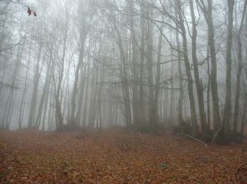 Trail On foot Delianuova - Sentiero del Brigante - Tappa 2 - Photo