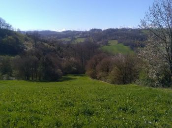 Tour Wandern Saint-Christaud - st christaud- le plan- stchristaud - Photo