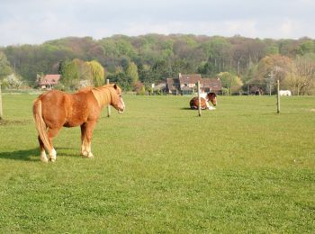 Randonnée Marche Linkebeek - #210430 - Linkebeek - Promenade 3 : par champs et prés*** - Photo