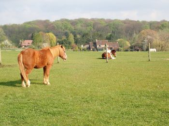 Trail Walking Linkebeek - Promenade 3: Par champs et prés - Photo