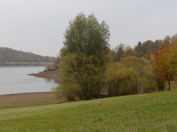 Trail On foot Schotten - Rundwanderweg Einartshausen E1 - Photo