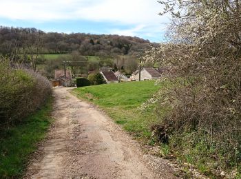 Trail Walking Saint-Mesmin - FONTETTE (05-04-2019) - Photo