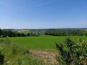 Excursión Senderismo Profondeville - ABRE _ Marche Fédérale _ NA _ 28/05/2023 - Photo