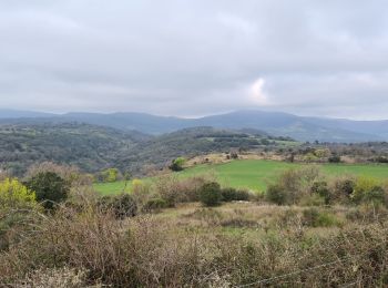 Randonnée Marche Octon - Octon-Chapelle ND de Roubignac - Photo