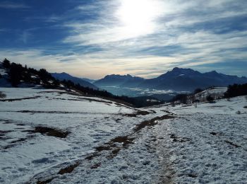 Tour Schneeschuhwandern Susville - Pierre Plantée et Serre de l'Horizon en circuit - Photo