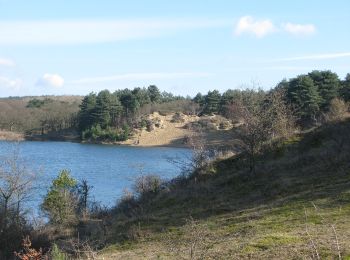 Tour Zu Fuß Bloemendaal - Brederodeberg - Photo