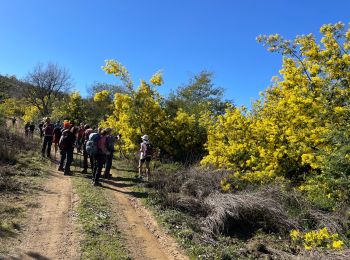 Tocht Stappen Tanneron - Tanneron - Photo