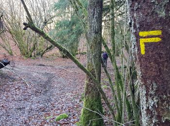 Tour Wandern Darnets - boucle des Troubadours - Photo