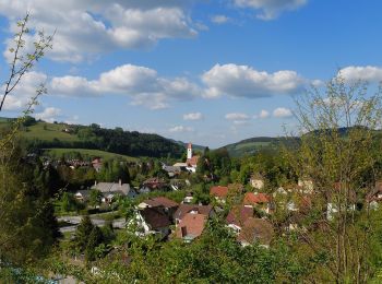 Randonnée A pied Gemeinde Aspang - Aspang-Markt - Spitzer Riegel - Photo