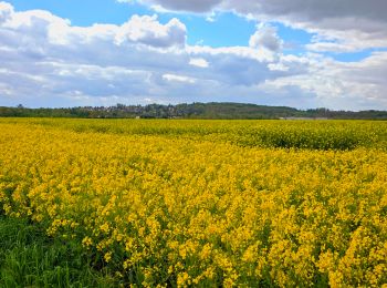 Tocht Stappen Coupvray - Boucle > 30 km Coupvray -Meaux - Photo