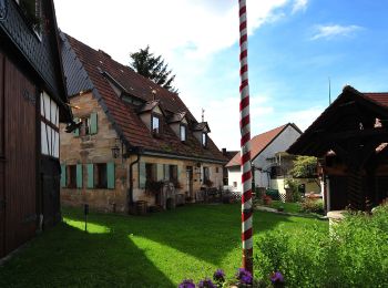 Excursión A pie Kalchreuther Forst - Rundweg um Kalchreuth - Photo