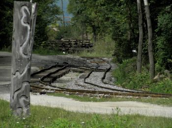 Percorso A piedi Srbsko - [Z] Bubovice u lomu - Srbsko - Photo