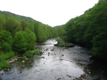 Percorso A piedi Ayat-sur-Sioule - Les Cotes - Photo