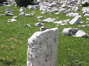 Tocht Stappen Saint-Agnan-en-Vercors - Beure - Pré Peyret -Carrières Romaines - Photo