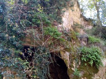 Tour Wandern Veyrignac - Ronde des Villages samedi - Photo