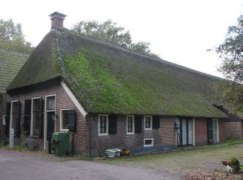 Tour Zu Fuß Staphorst - WNW Vechtdal -Reeststouwe - paarse route - Photo