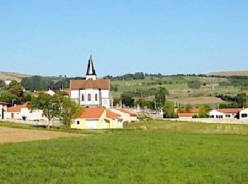 Excursión Senderismo Beauregard-Vendon - Chaptes_Puy_Loule - Photo